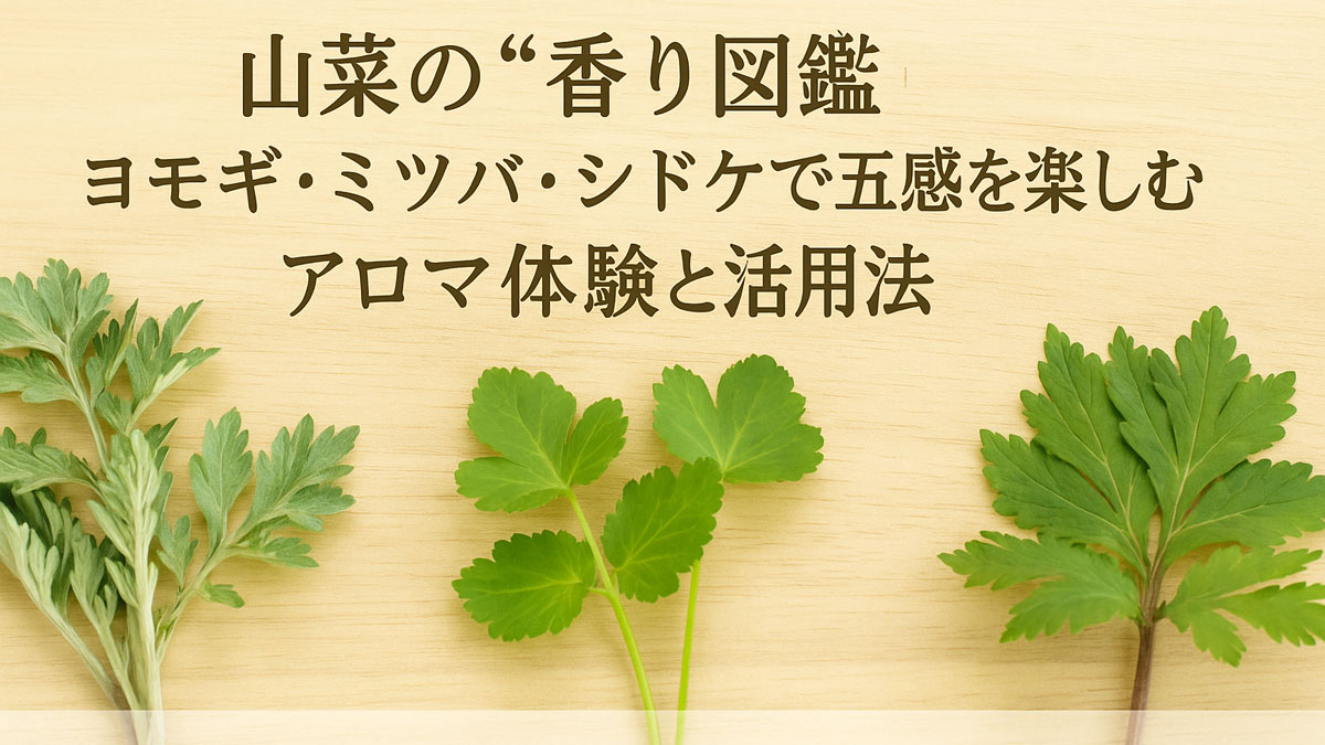 ヨモギ・ミツバ・シドケの葉を並べた写真に『山菜の“香り図鑑” ヨモギ・ミツバ・シドケで五感を楽しむアロマ体験と活用法』という日本語のタイトルが中央に配置されたアイキャッチ画像。ナチュラルな木目背景と優しい配色で構成されています。