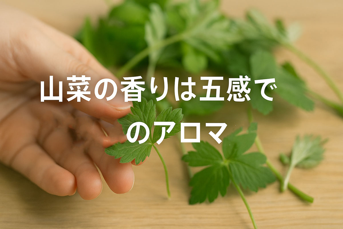 山菜の葉を手に取る様子に『山菜の香りは五感で“自然のアロマ”』という日本語のテキストが中央に重ねられた画像。ナチュラルな配色と優しい雰囲気で構成されている。