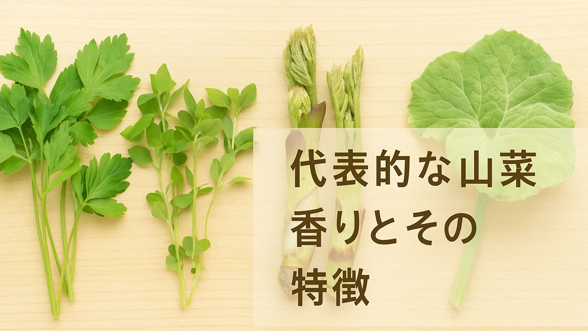 代表的な山菜4種（ミツバ、ハコベ、ウド、フキノトウ）が木の台の上に並び、右寄りに『代表的な山菜の香りとその特徴』という日本語のテキストが重ねられた画像。ナチュラルな配色と優しい雰囲気で構成されている。