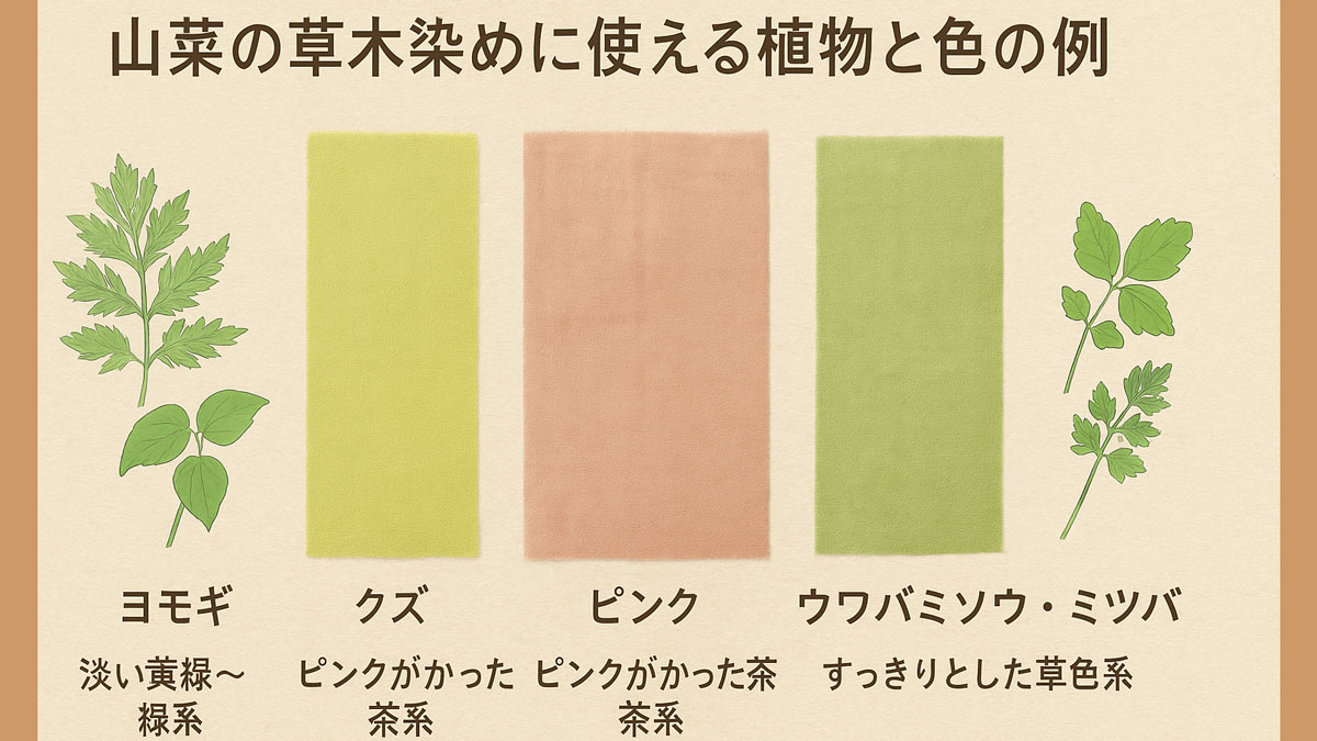 ヨモギ・クズ・ウワバミソウ・ミツバと染め布の色見本を並べた、山菜の草木染めに使える植物と色の例を示すやさしいトーンの解説画像（日本語テキスト入り）